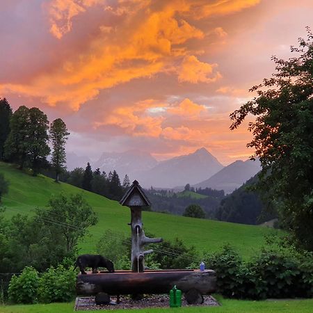 Biobauernhof Schoettelbauer Rosenau am Hengstpass Zewnętrze zdjęcie