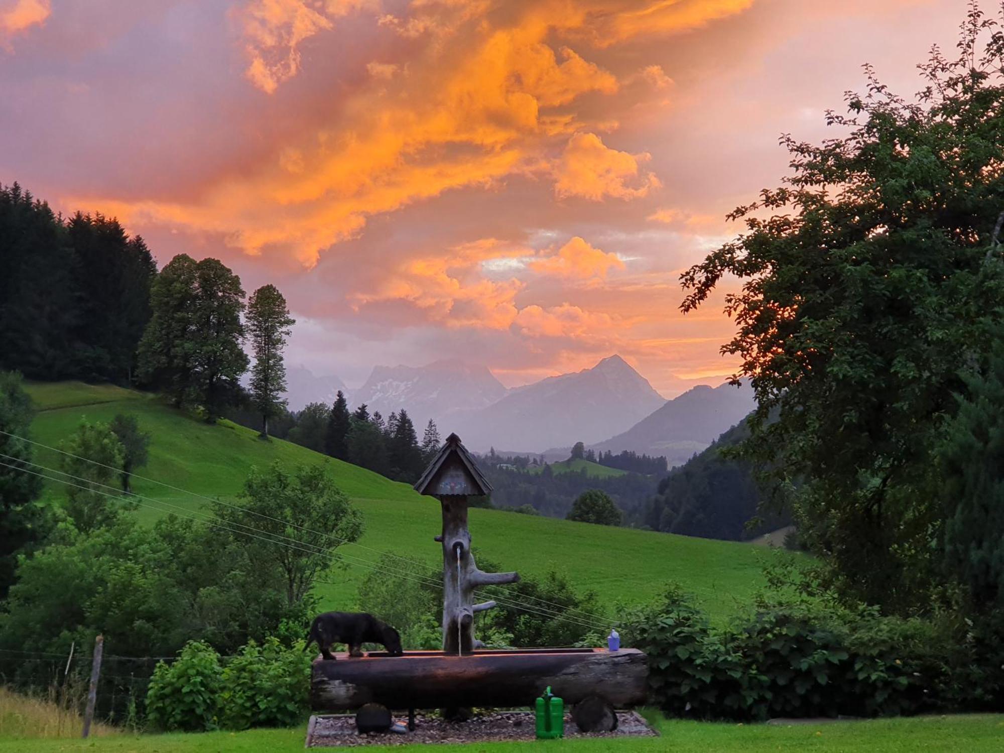 Biobauernhof Schoettelbauer Rosenau am Hengstpass Zewnętrze zdjęcie