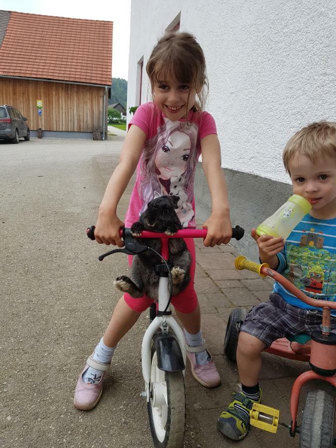 Biobauernhof Schoettelbauer Rosenau am Hengstpass Zewnętrze zdjęcie