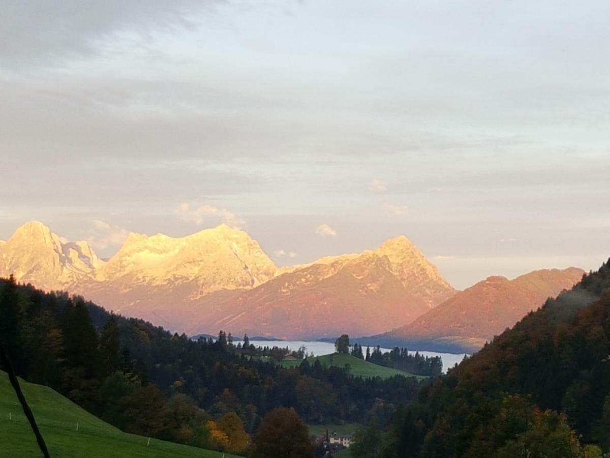 Biobauernhof Schoettelbauer Rosenau am Hengstpass Zewnętrze zdjęcie